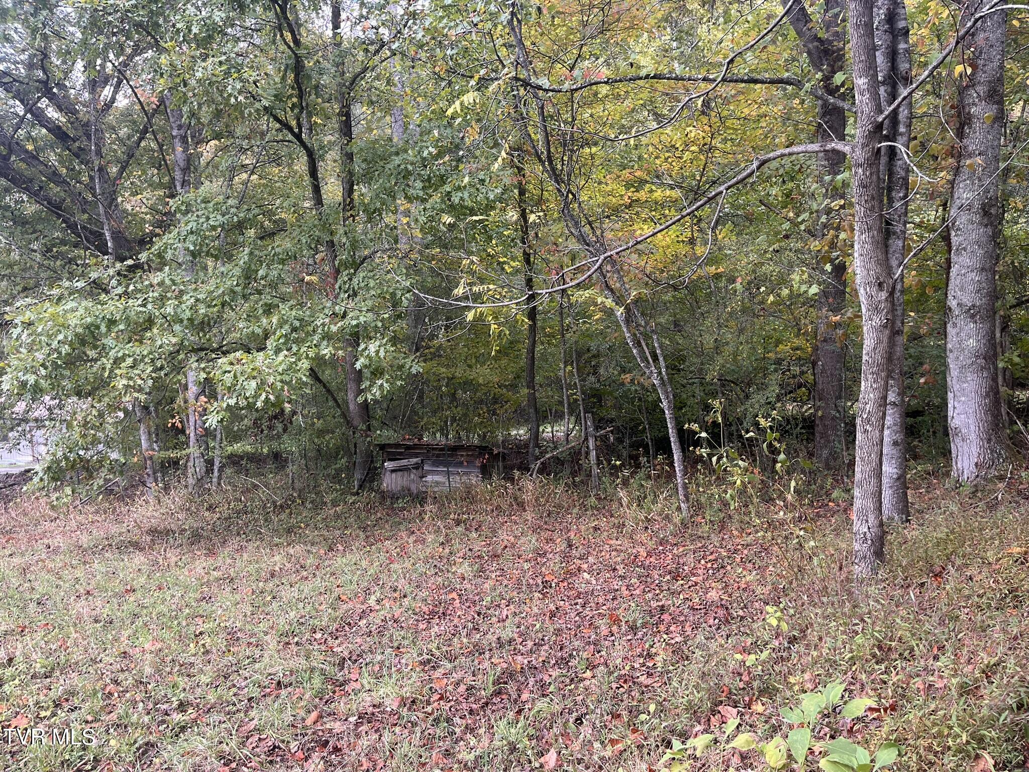 274 Grindstaff Hollow Road, Elizabethton, Tennessee image 23
