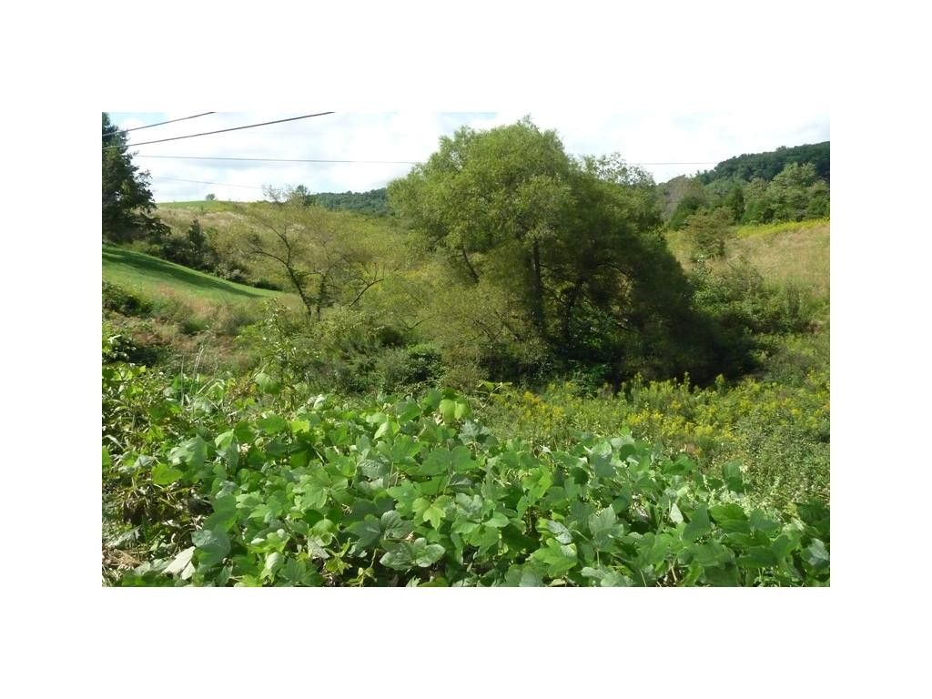 Photo of Lot 4 Daniel Boone Road, Gate City, VA 24251 (MLS # 353623)