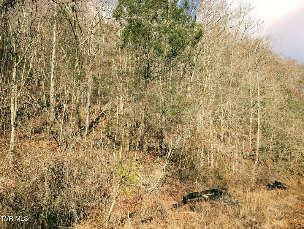 Photo of Tbd Rockhouse Road, Clintwood, VA 24228 (MLS # 9989558)