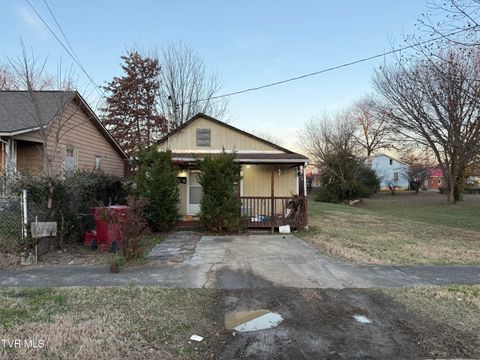 Photo of 906 Boone Street, Johnson City, TN 37604 (MLS # 9989248)