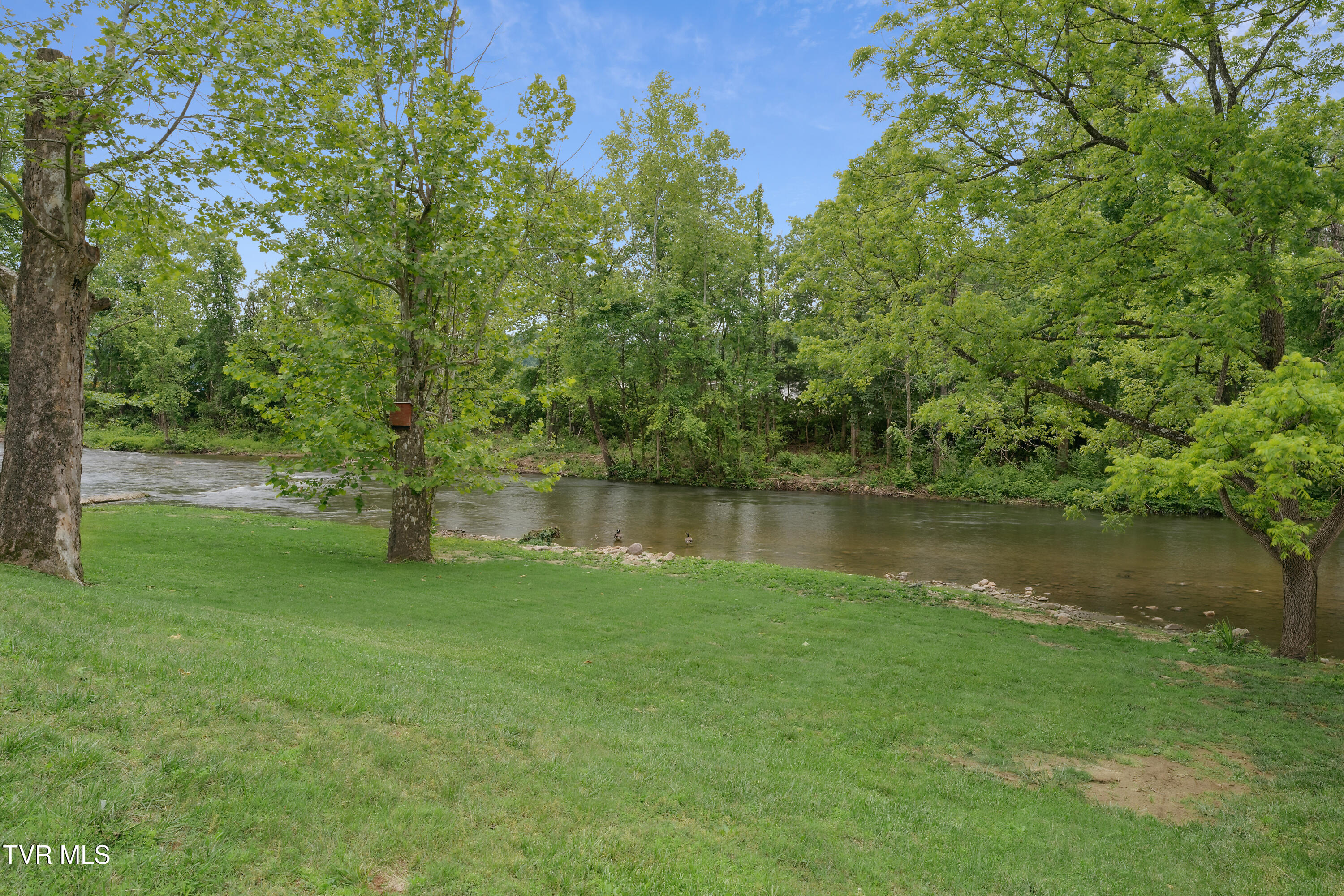 1006 Riverview Drive, Elizabethton, Tennessee image 50