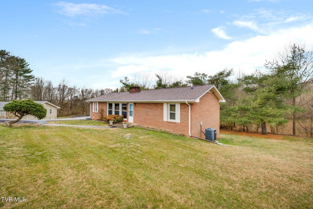 Photo of 157 Hawk Street, Blountville, TN 37617 (MLS # 9991791)