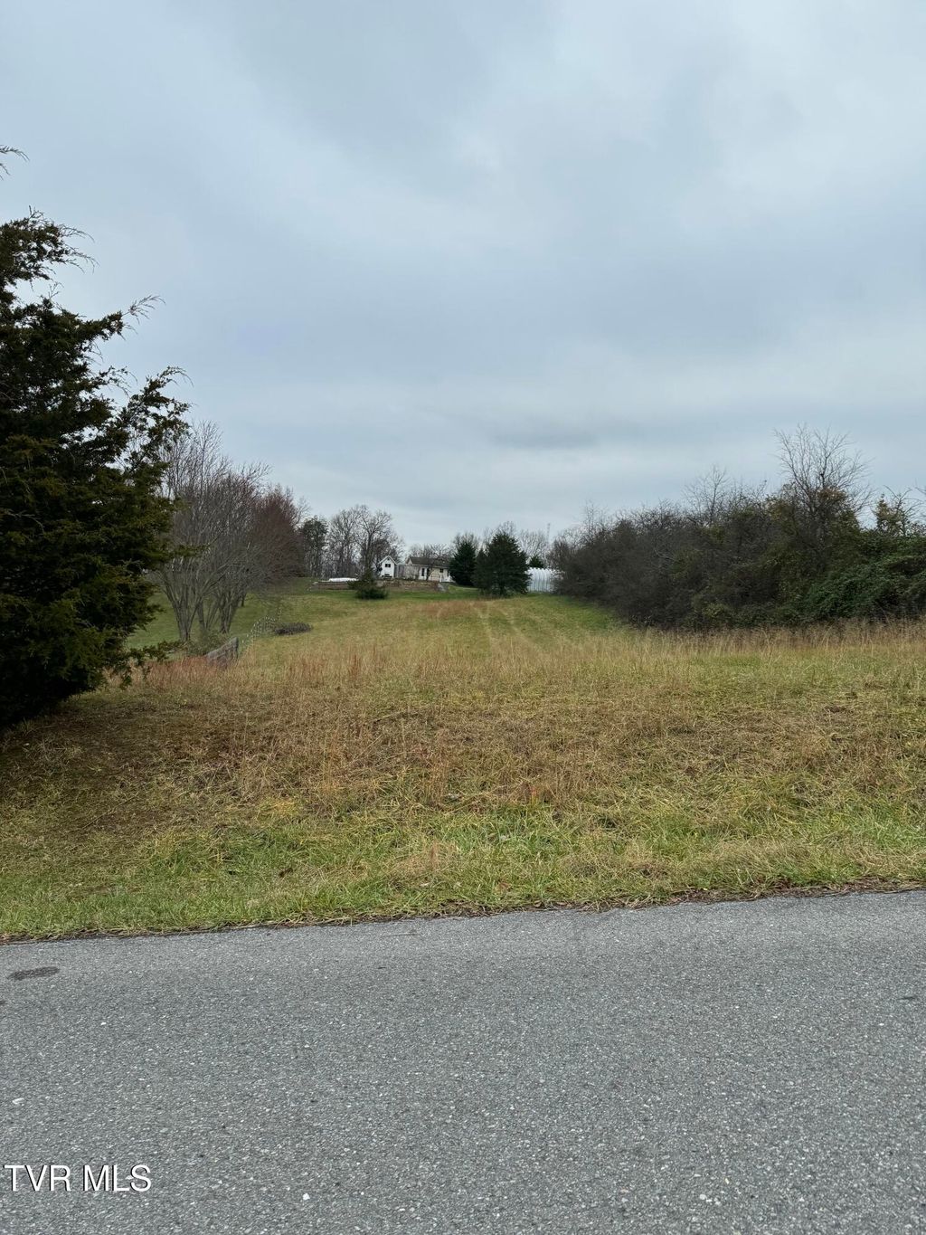 Photo of 157 Tipton Rd Road, Jonesborough, TN 37659 (MLS # 9987730)