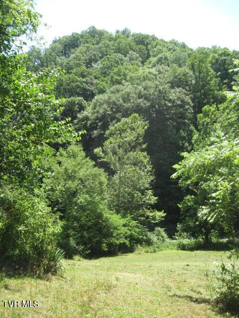 1795 Bear Hollow Road, Greeneville, Tennessee image 13
