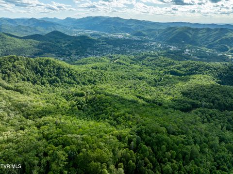 Vacant Land For Sale - TBD Blaine White Road<br/> Unicoi County, Erwin, TN 37650