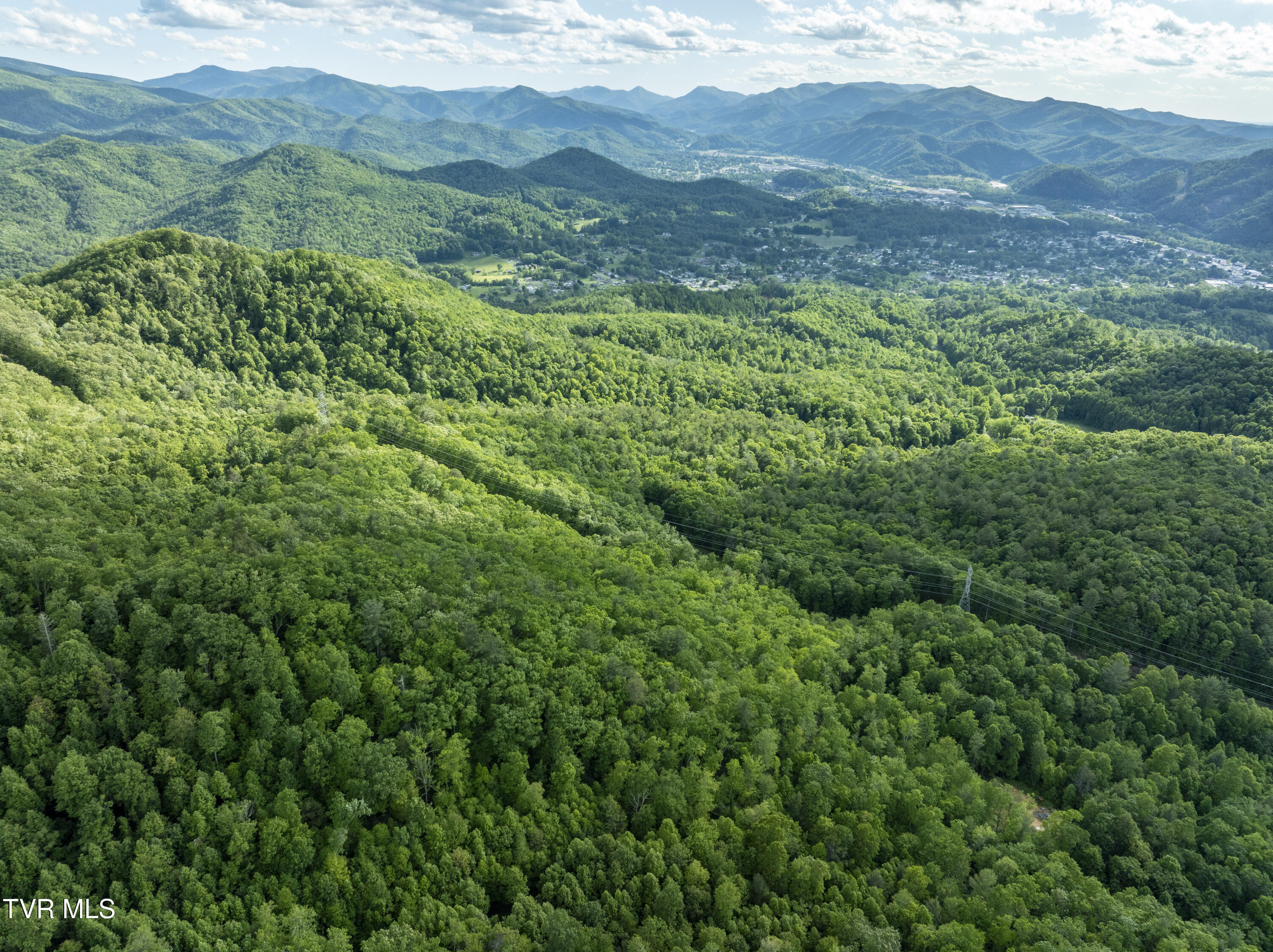 Tbd Blaine White Road, Erwin, Tennessee image 3