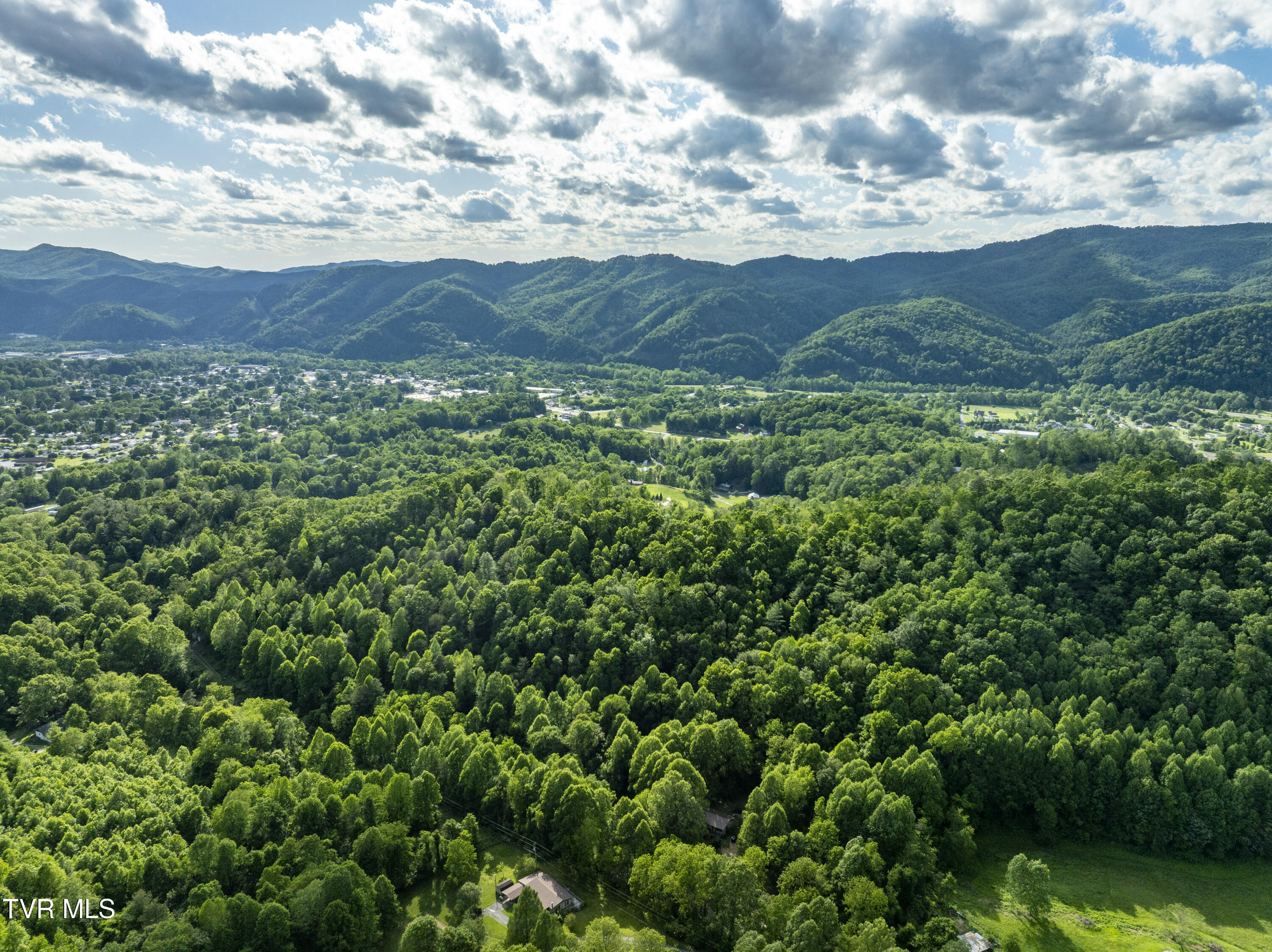 Tbd Blaine White Road, Erwin, Tennessee image 15