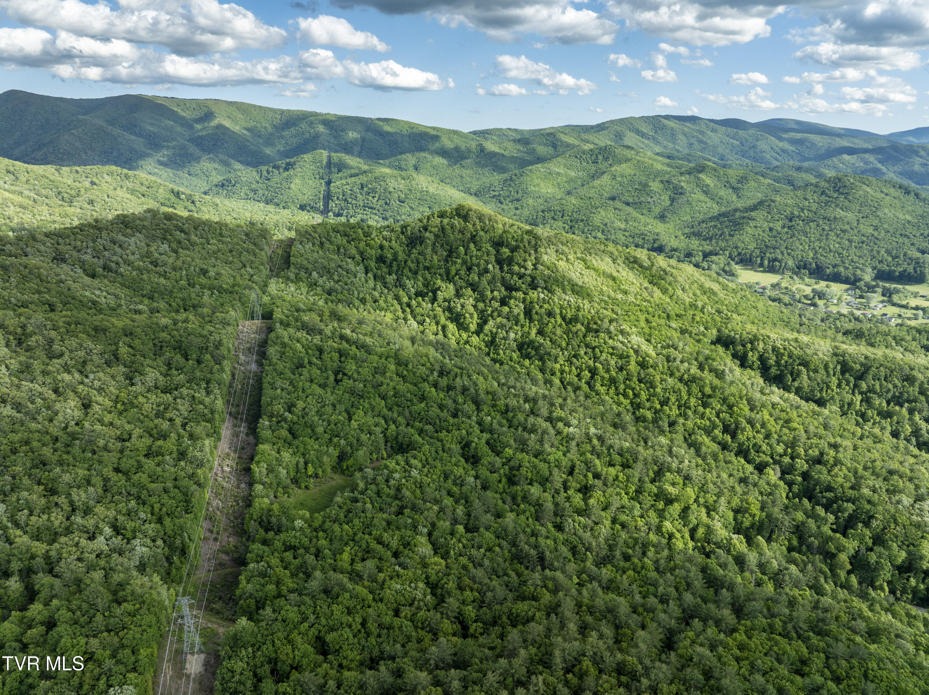 Tbd Blaine White Road, Erwin, Tennessee image 17