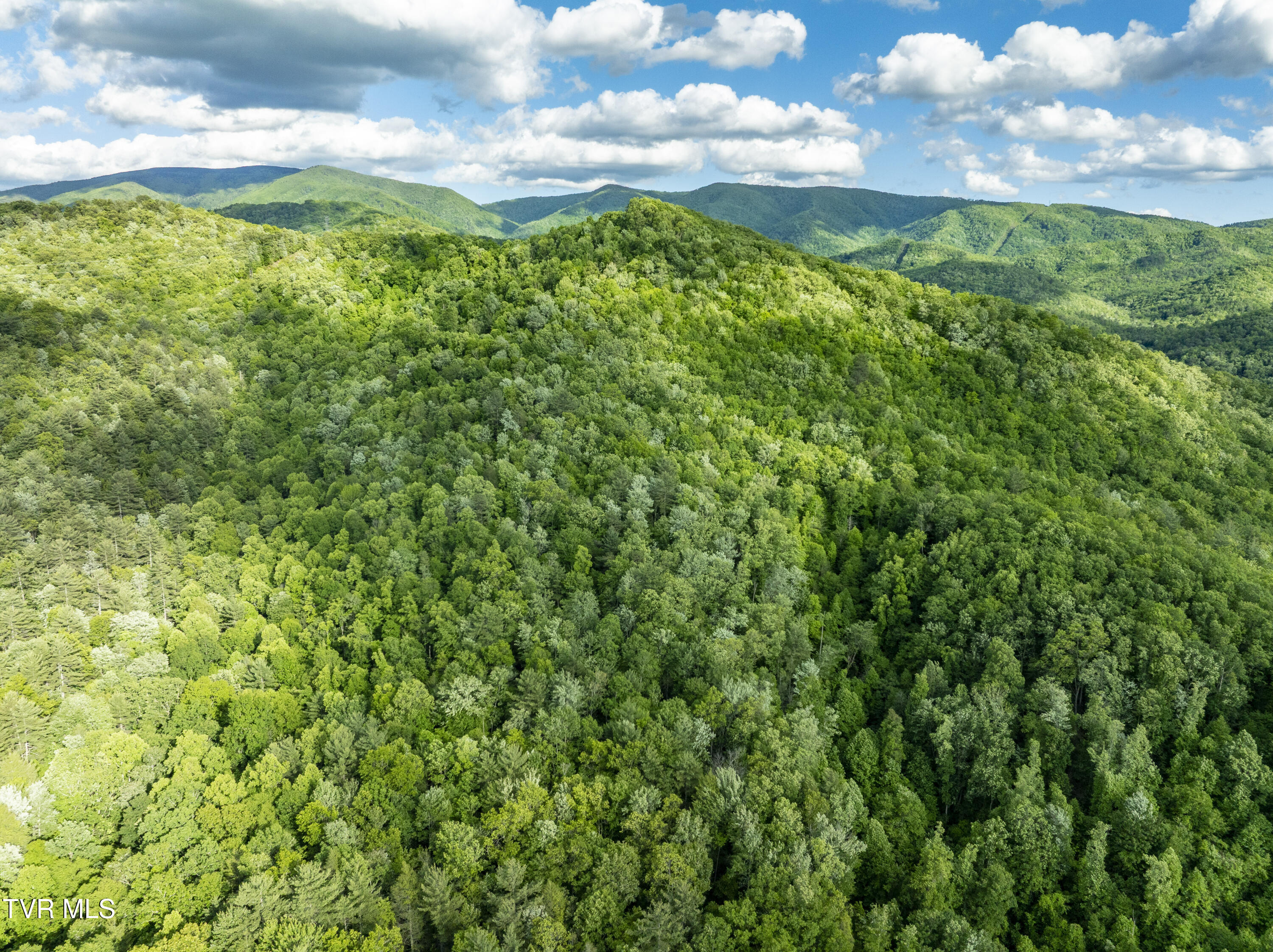 Tbd Blaine White Road, Erwin, Tennessee image 10