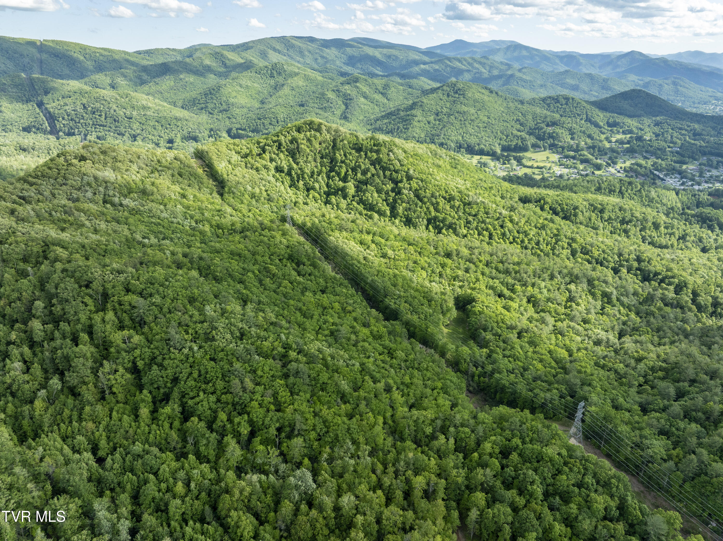 Tbd Blaine White Road, Erwin, Tennessee image 18