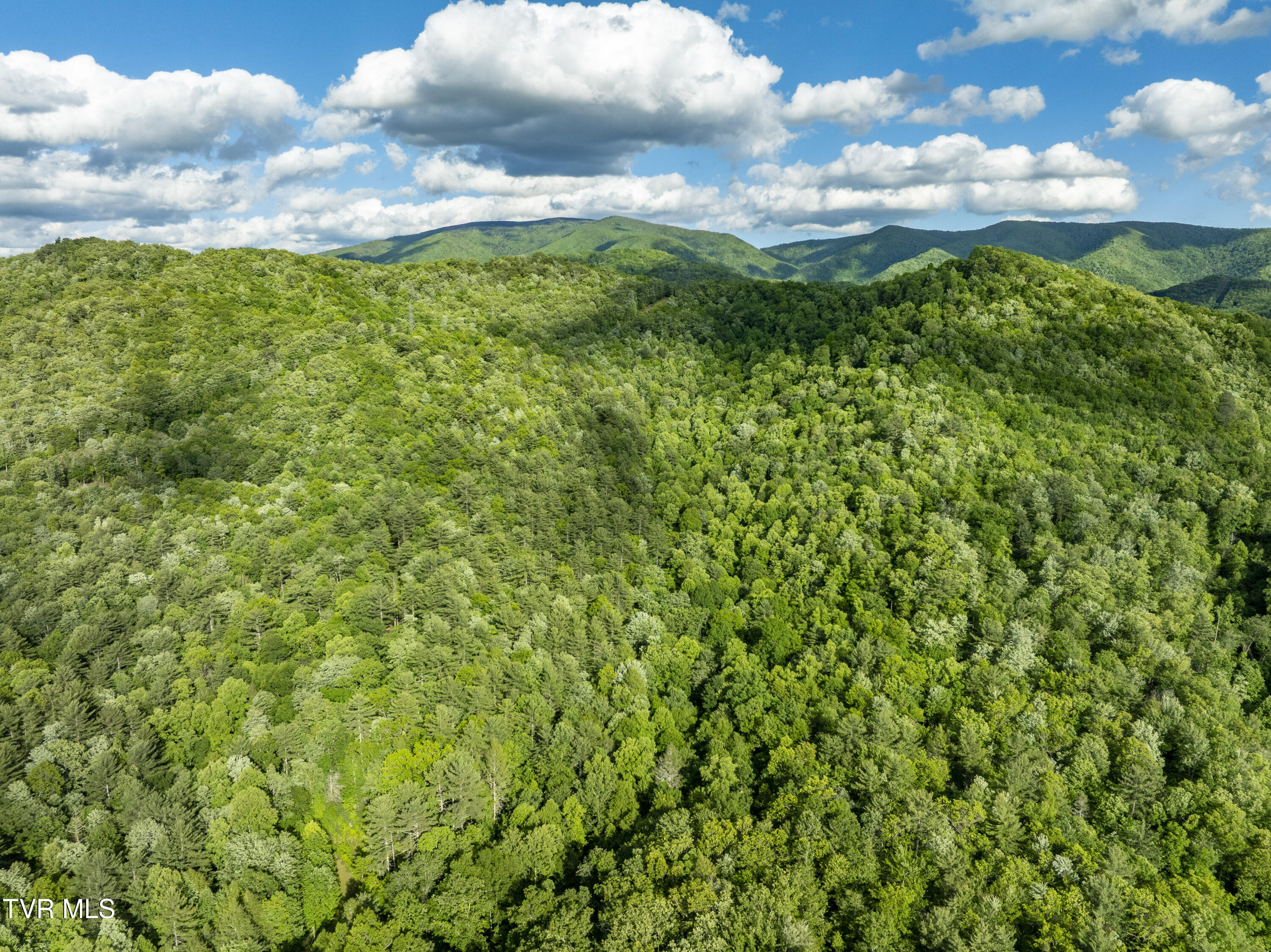 Tbd Blaine White Road, Erwin, Tennessee image 11