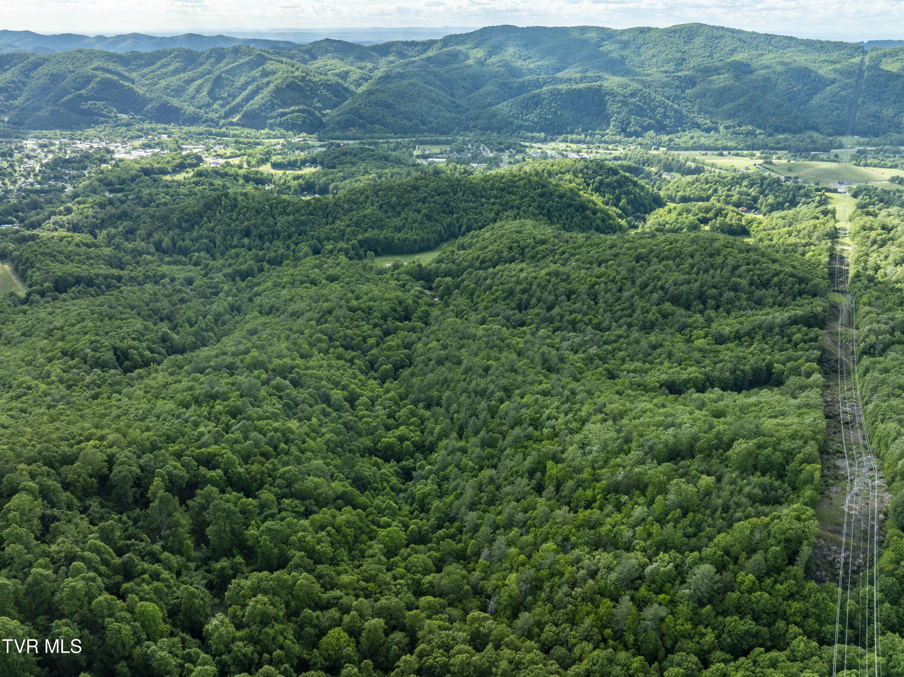 Tbd Blaine White Road, Erwin, Tennessee image 20