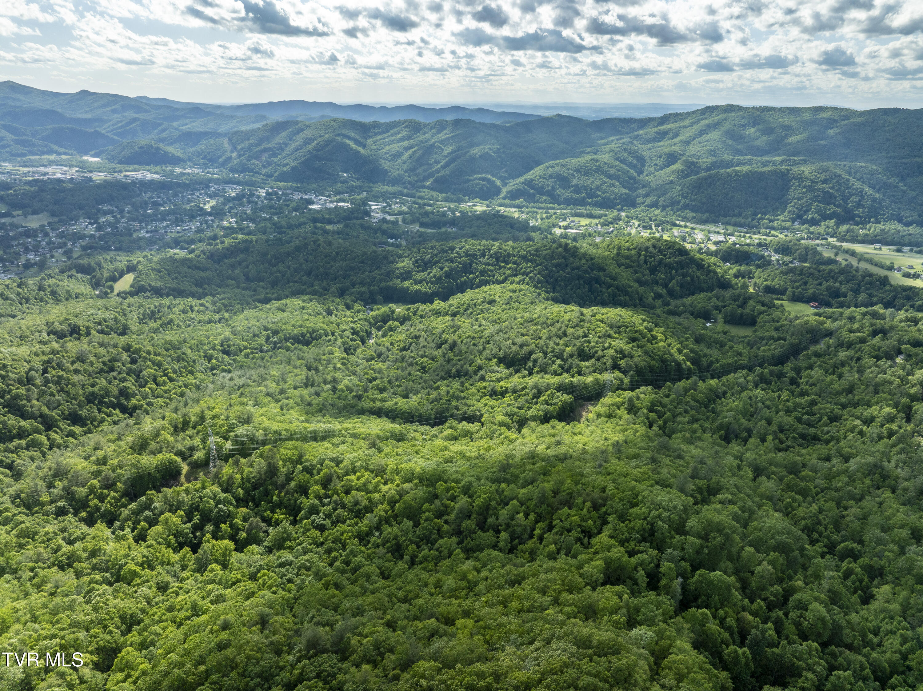 Tbd Blaine White Road, Erwin, Tennessee image 14