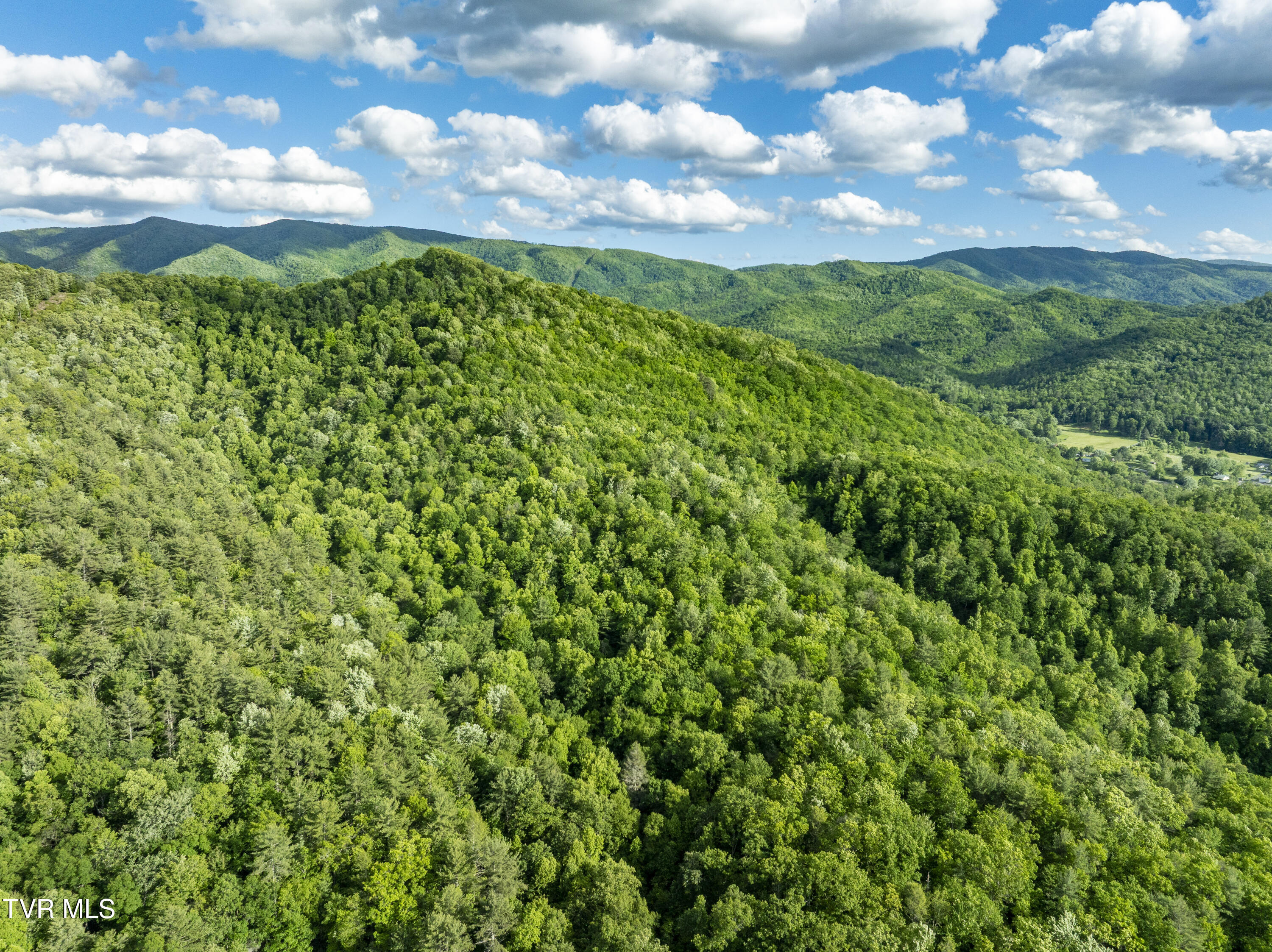Tbd Blaine White Road, Erwin, Tennessee image 12