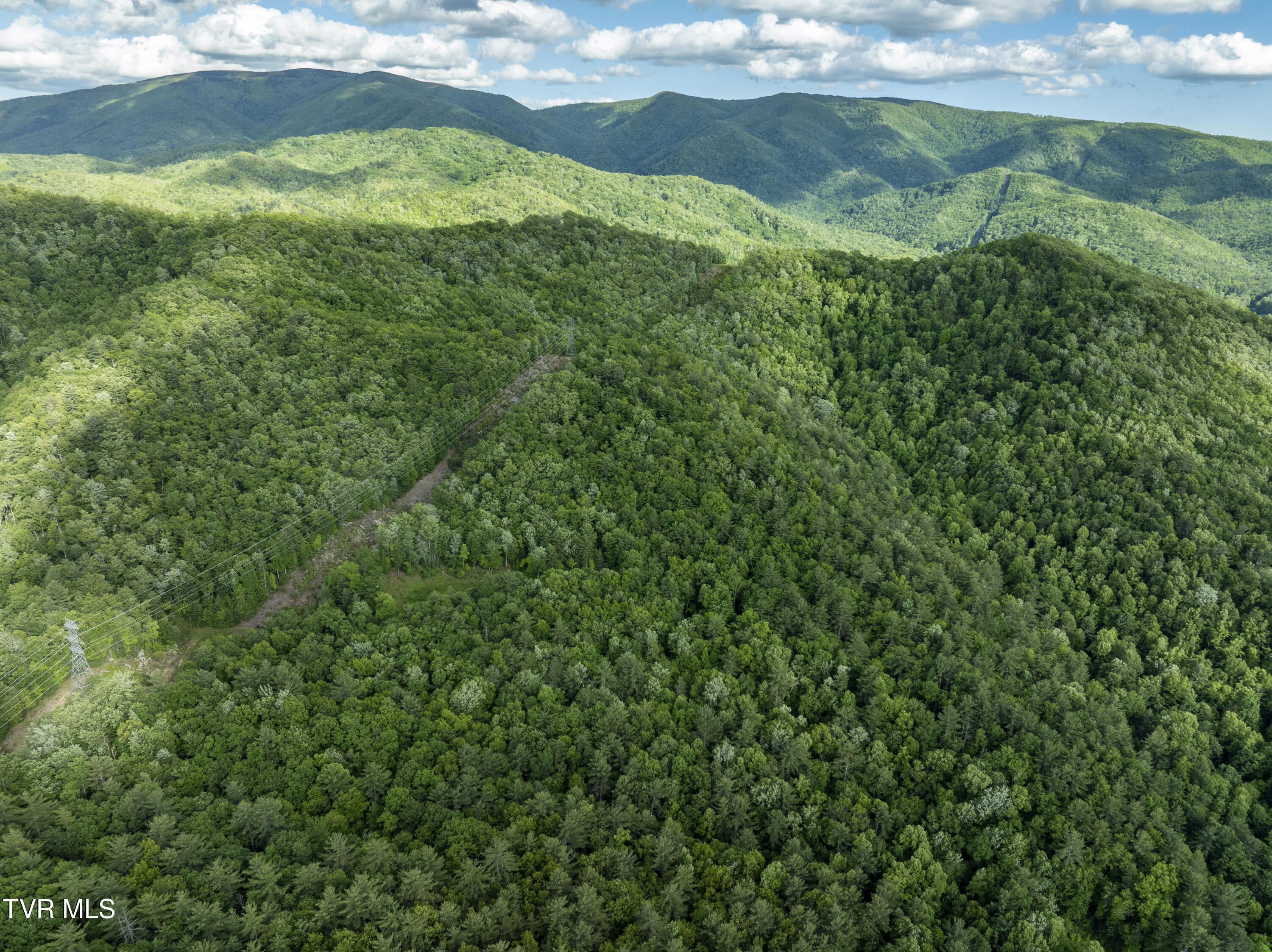 Tbd Blaine White Road, Erwin, Tennessee image 9