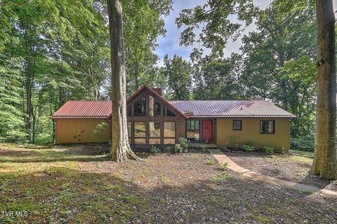 Photo of 5413 Kiowa Street, Kingsport, TN 37664 (MLS # 9997344)