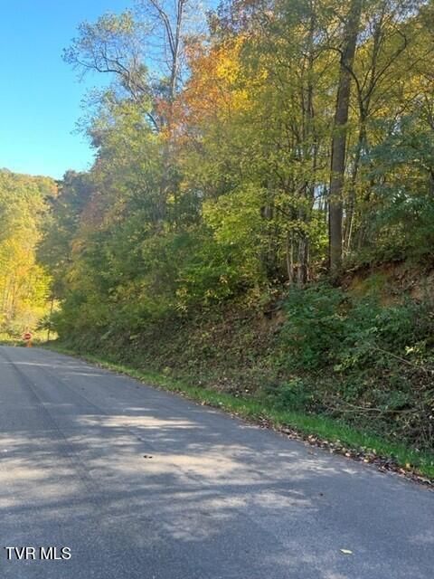 Vacant Land For Sale - 000 Cave Springs Road<br/> Dryden, VA 24243