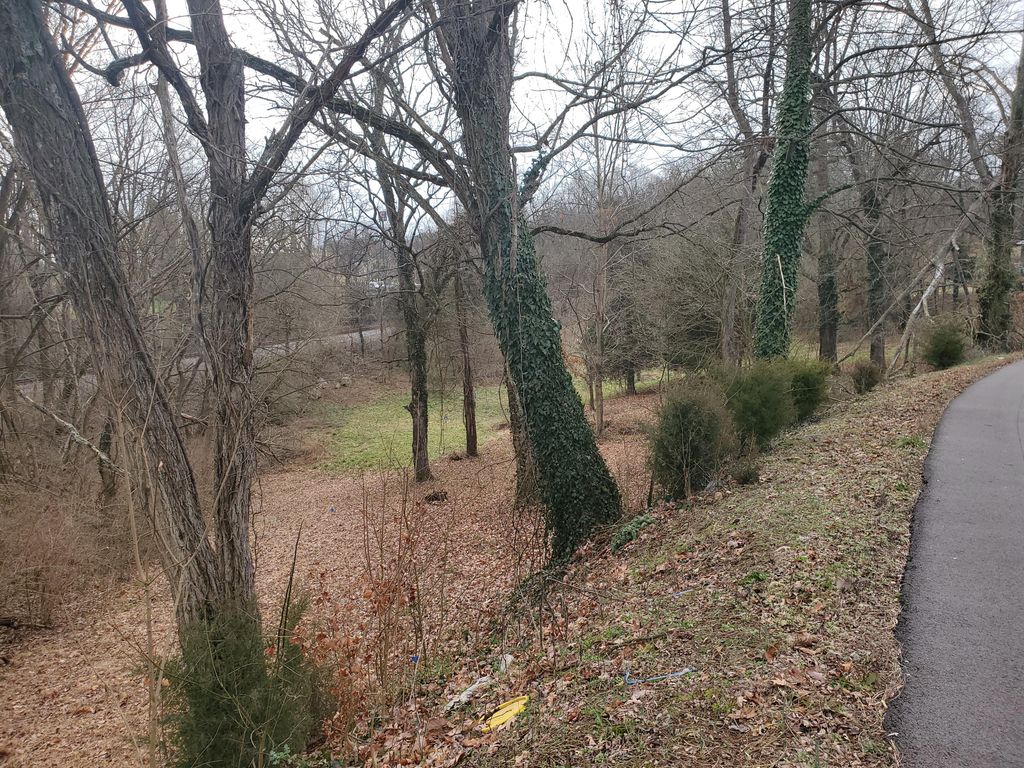 Photo of Tbd Tall Oak Court, Kingsport, TN 37663 (MLS # 9965132)