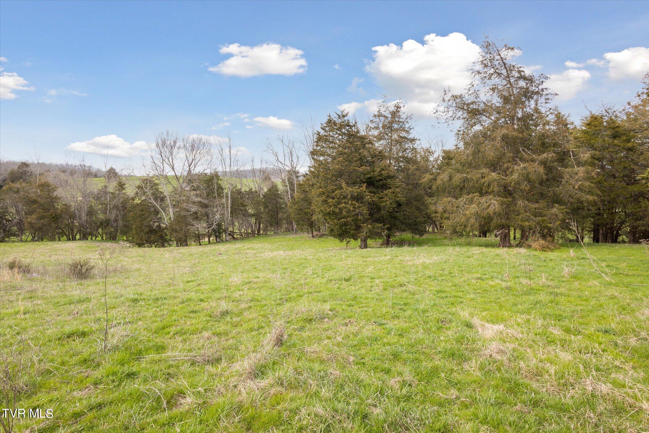 Tbd Highway 75, Blountville, Tennessee image 25