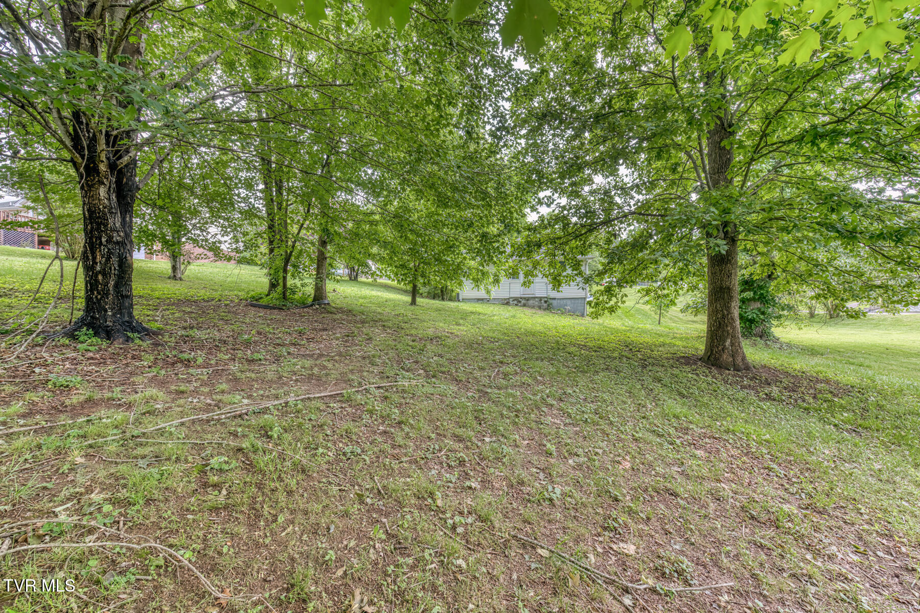 321 North Avenue, Church Hill, Tennessee image 23