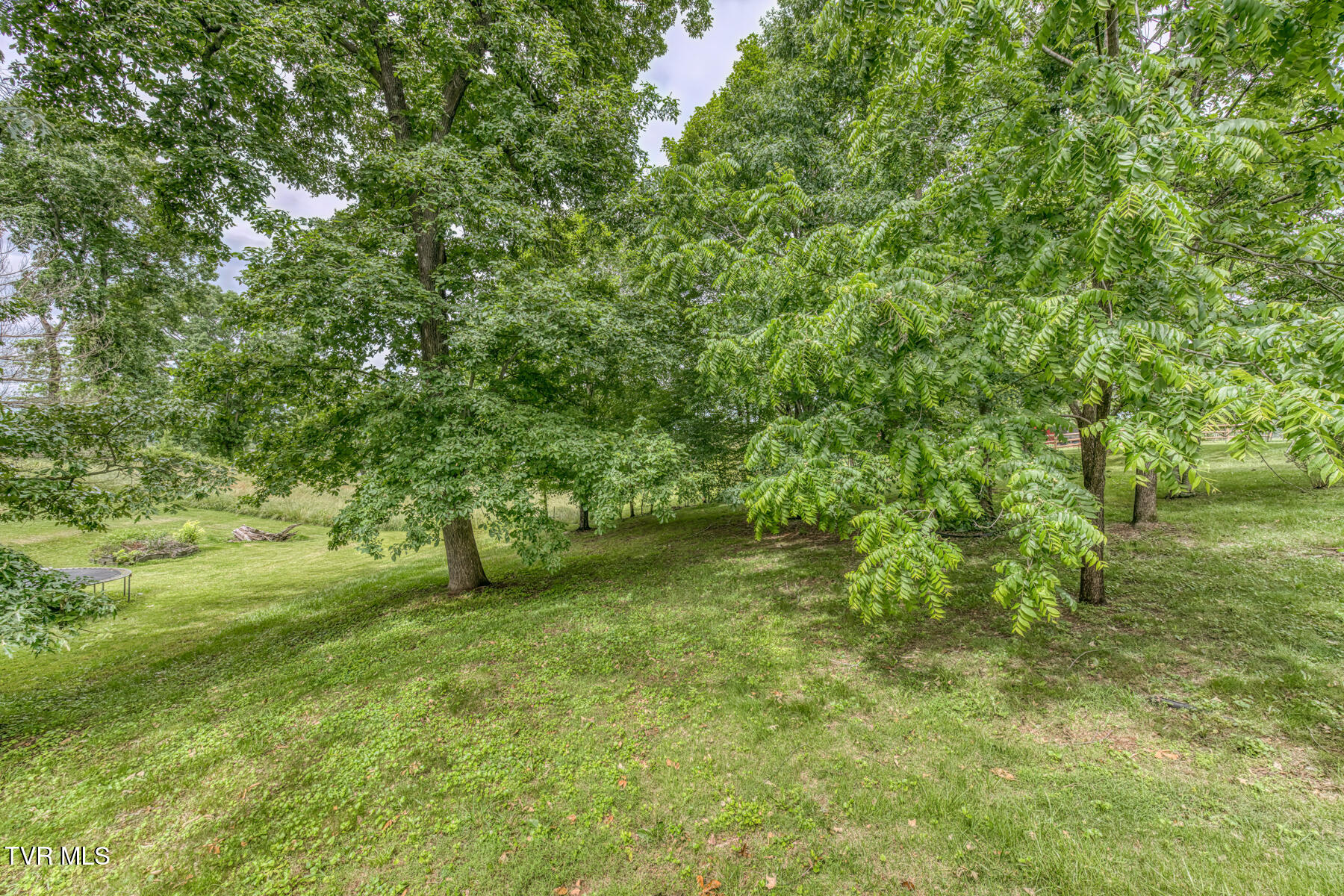 321 North Avenue, Church Hill, Tennessee image 26