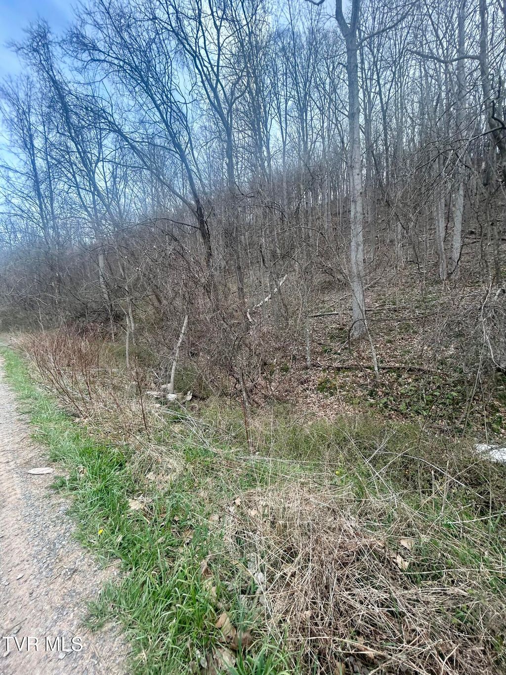 Photo of 0 Cedar Tree Lane, Abingdon, VA 24210 (MLS # 9993084)