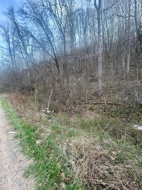 Vacant Land For Sale - Cedar Tree Lane<br/> Abingdon, VA 24210