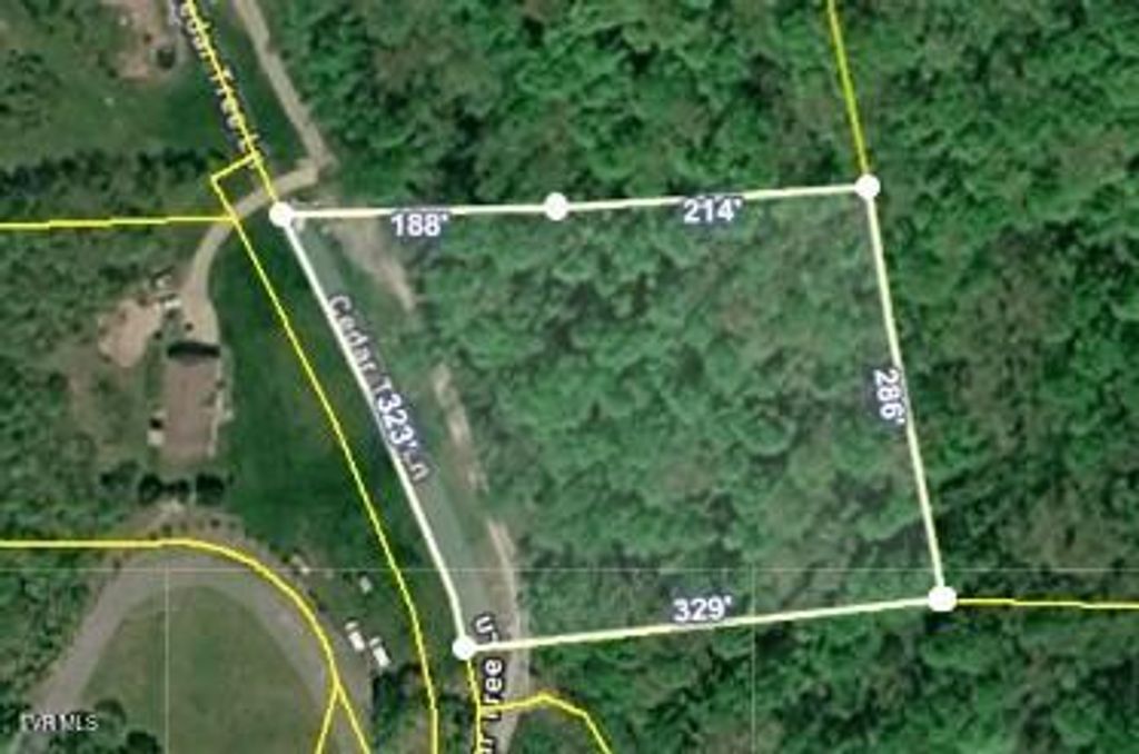 Photo of 0 Cedar Tree Lane, Abingdon, VA 24210 (MLS # 9993084)