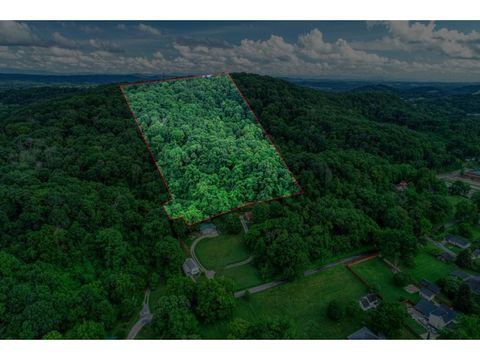 Vacant Land For Sale - TBD College Street<br/> Rogersville, TN 37857