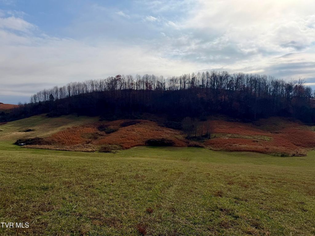 Photo of Tbd Thomas Lane, Bluff City, TN 37618 (MLS # 9988515)