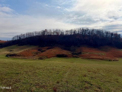 Vacant Land For Sale - TBD Thomas Lane<br/> Bluff City, TN 37618