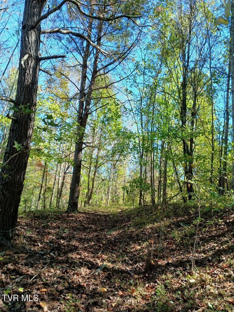 000 Williams Road