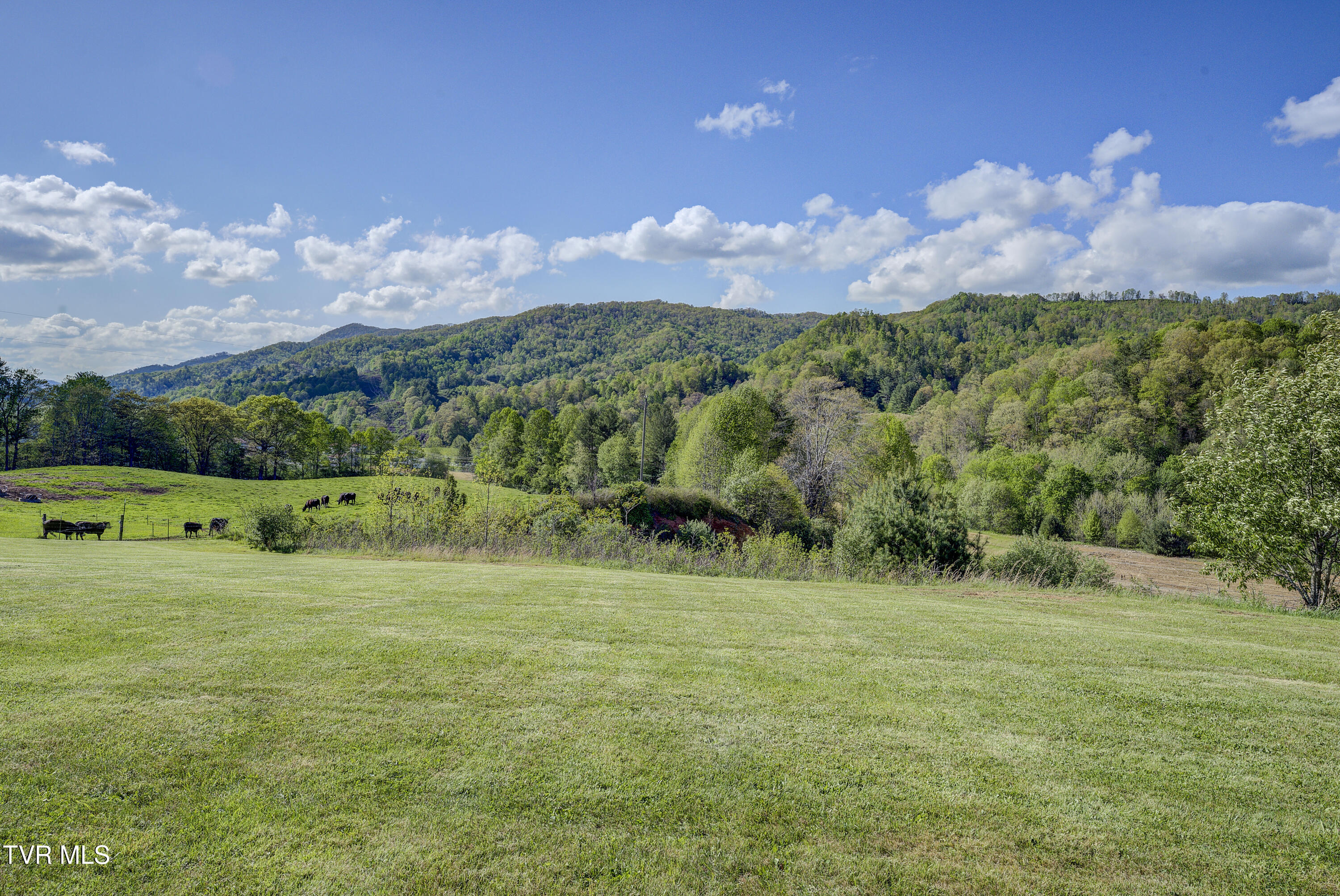 138 Ray Cemetery Road, Roan Mountain, Tennessee image 40