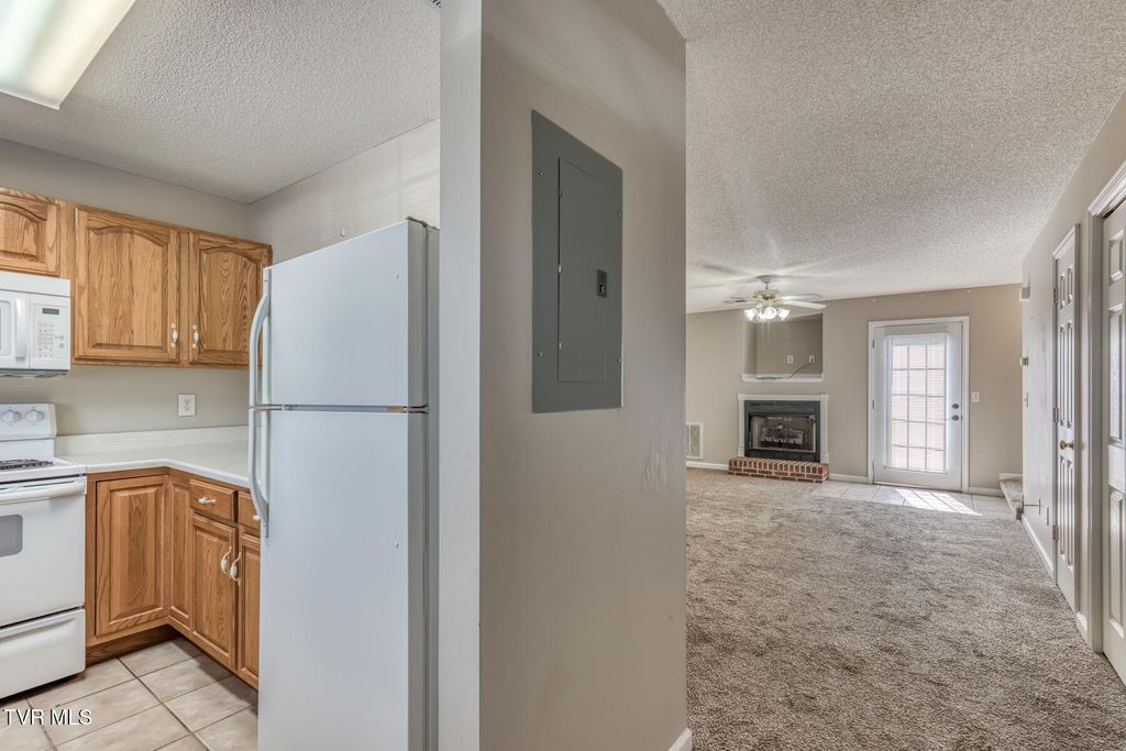 Photo of 716 King Springs Road #Apt 7, Johnson City, TN 37601 (MLS # 9993209)