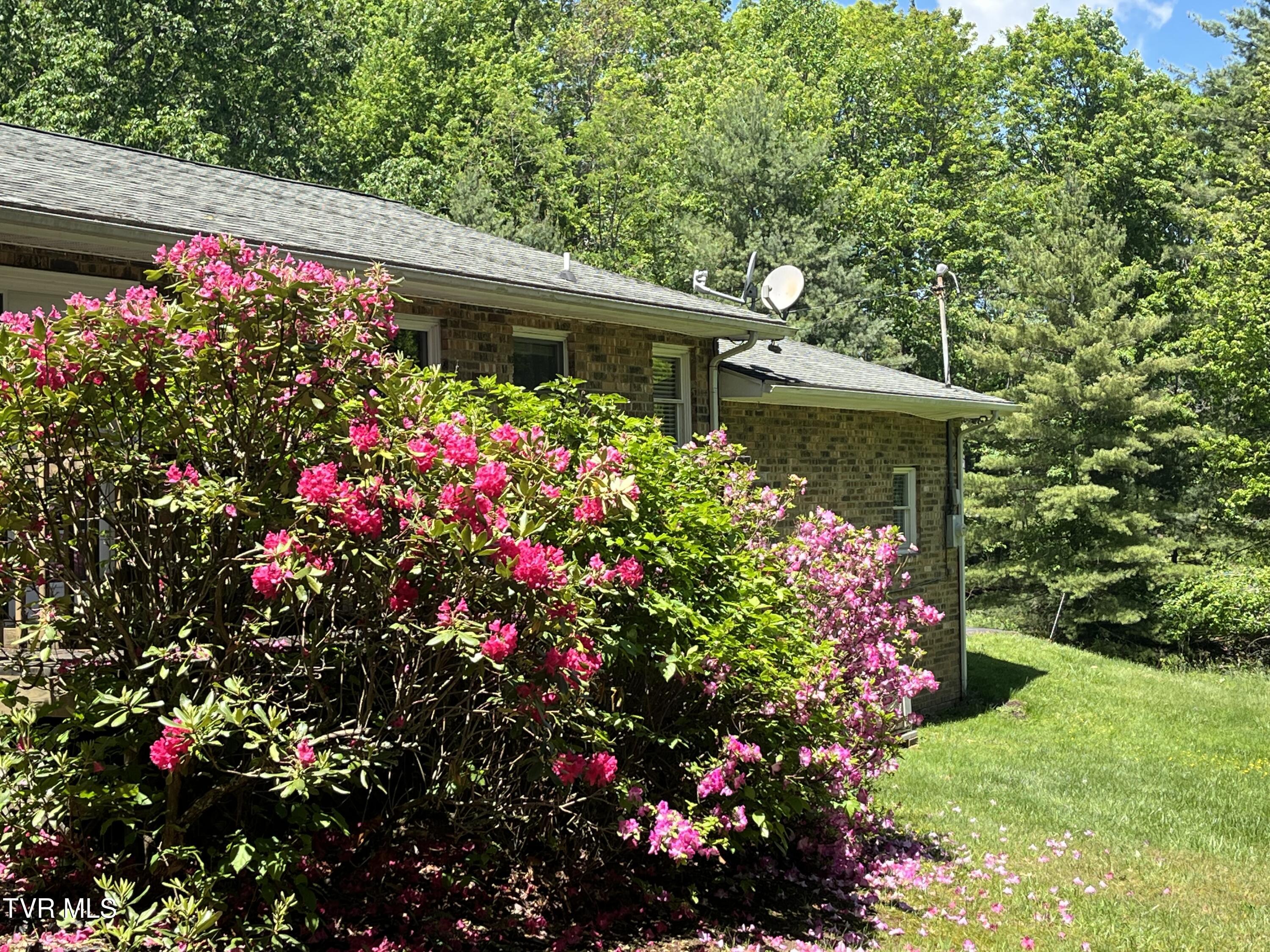 12226 Sands Road, Coeburn, Virginia image 29