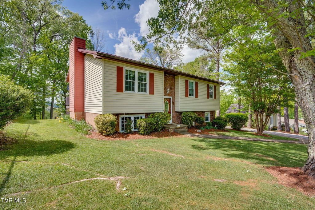 Photo of 258 Overhill Drive, Jonesborough, TN 37659 (MLS # 9995159)