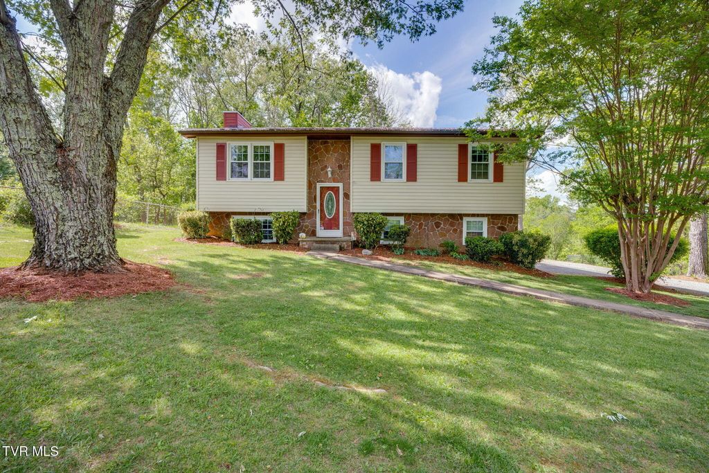 Photo of 258 Overhill Drive, Jonesborough, TN 37659 (MLS # 9995159)
