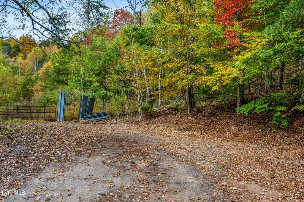 Photo of 0 Cloud Creek Road, Rogersville, TN 37857 (MLS # 9987508)
