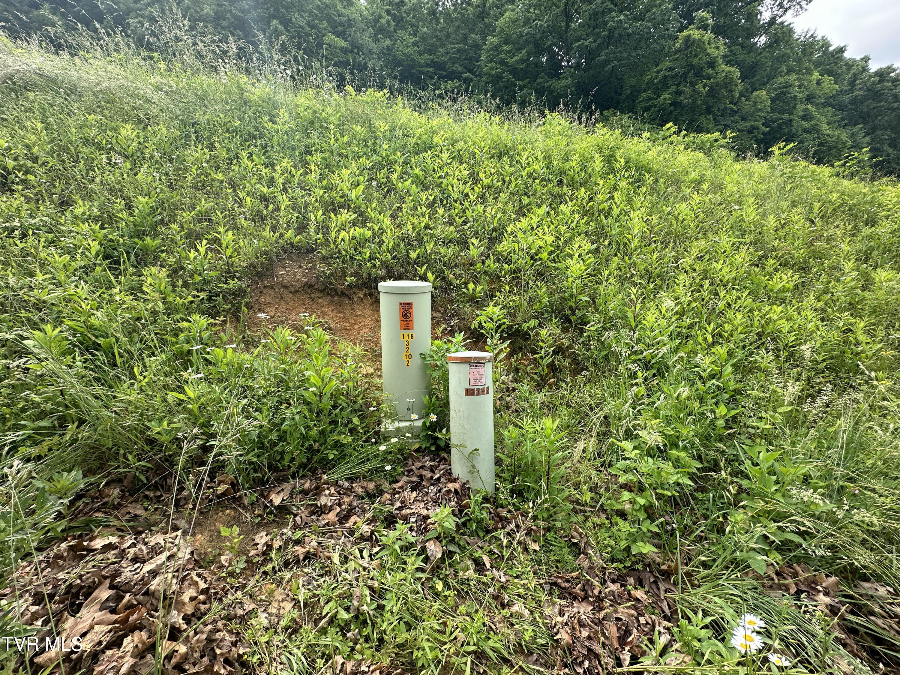 Lot 8 High Country Rd Pvt Road, Butler, Tennessee image 10