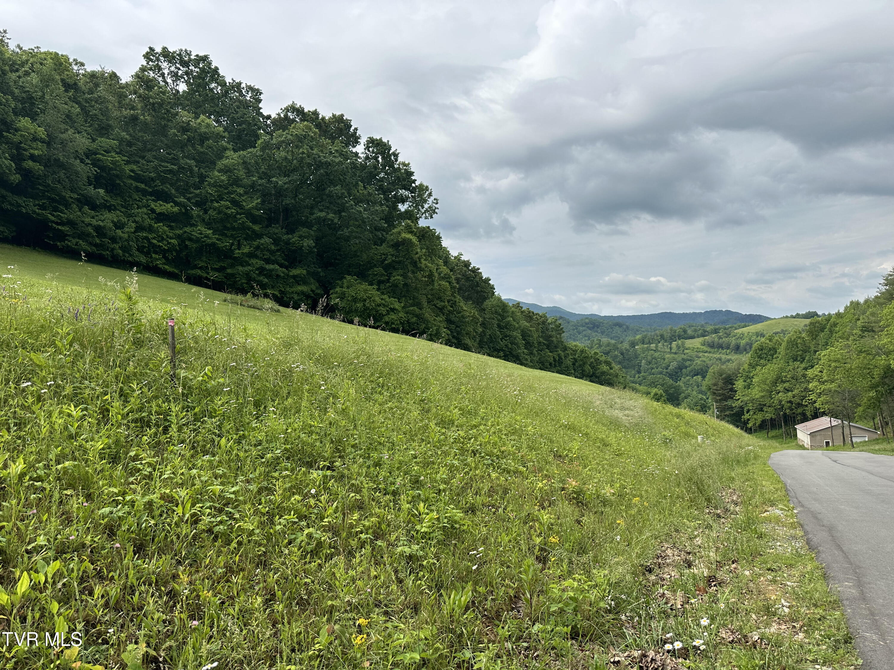 Lot 8 High Country Rd Pvt Road, Butler, Tennessee image 3
