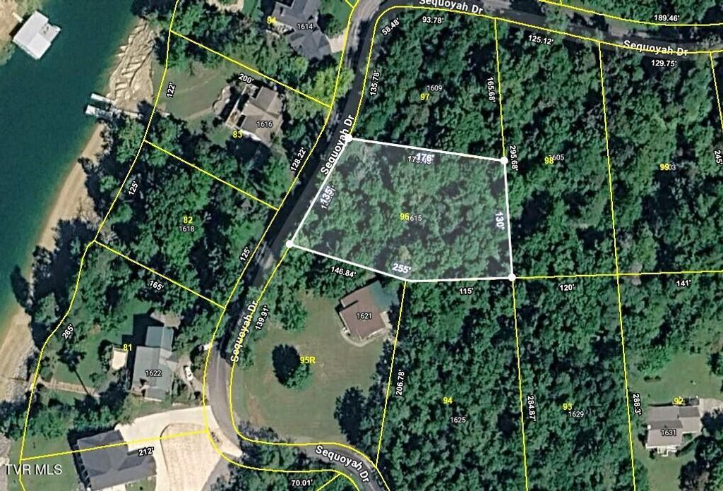 Photo of 1615 Sequoyah Drive, Mooresburg, TN 37811 (MLS # 9992901)