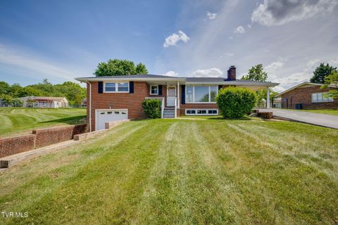 Photo of 1029 Spring Valley Drive, Kingsport, TN 37660 (MLS # 9994695)