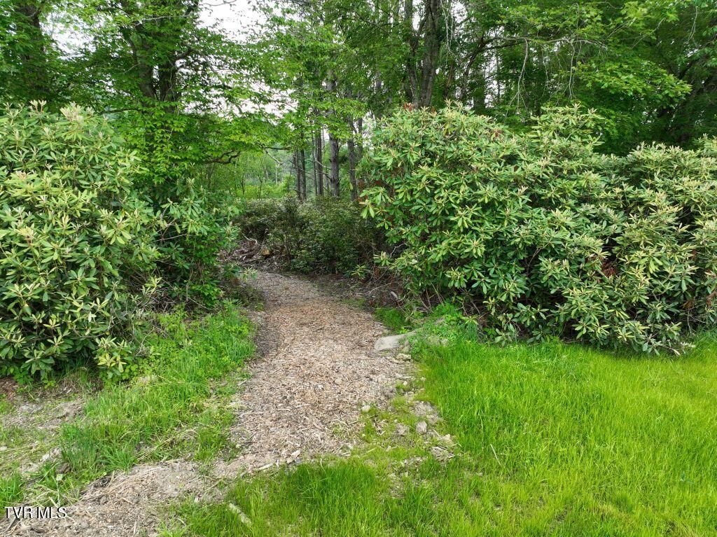 Photo of 1772 Ripshin Mountain Road, Roan Mountain, TN 37687 (MLS # 9992741)