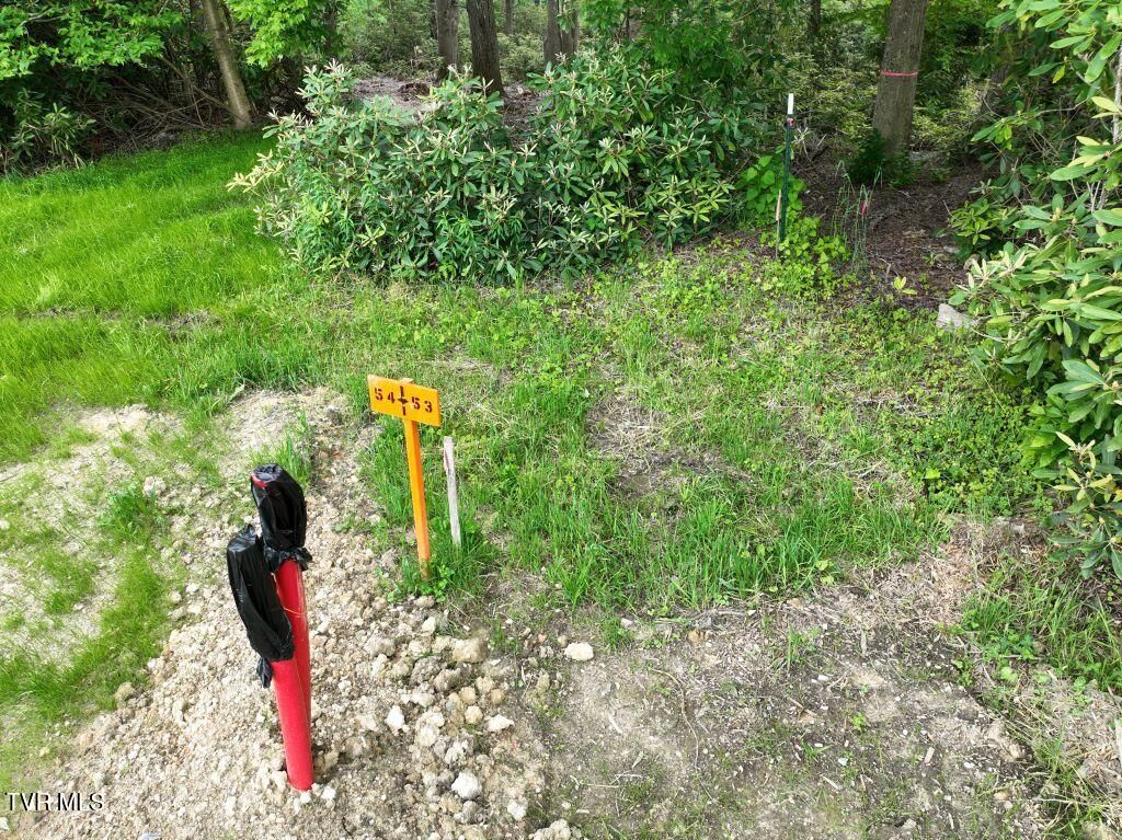 Photo of 1772 Ripshin Mountain Road, Roan Mountain, TN 37687 (MLS # 9992741)