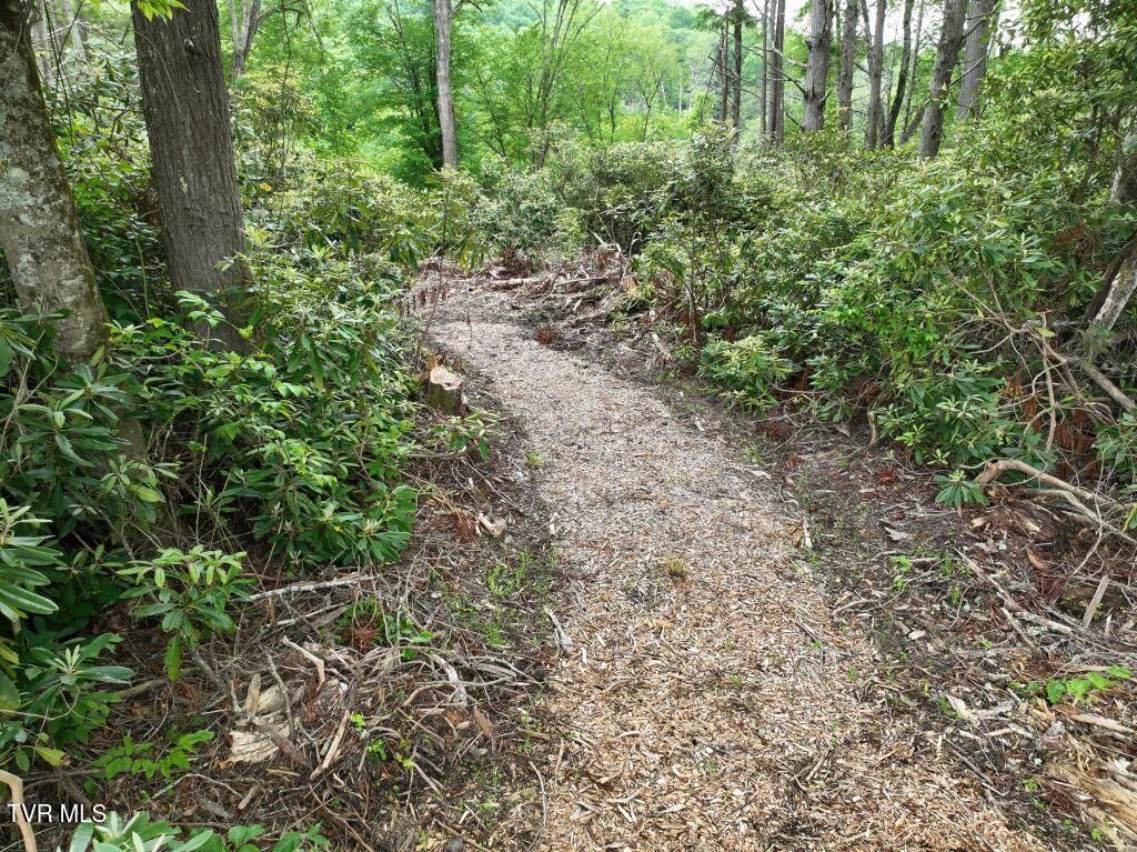 Photo of 1772 Ripshin Mountain Road, Roan Mountain, TN 37687 (MLS # 9992741)