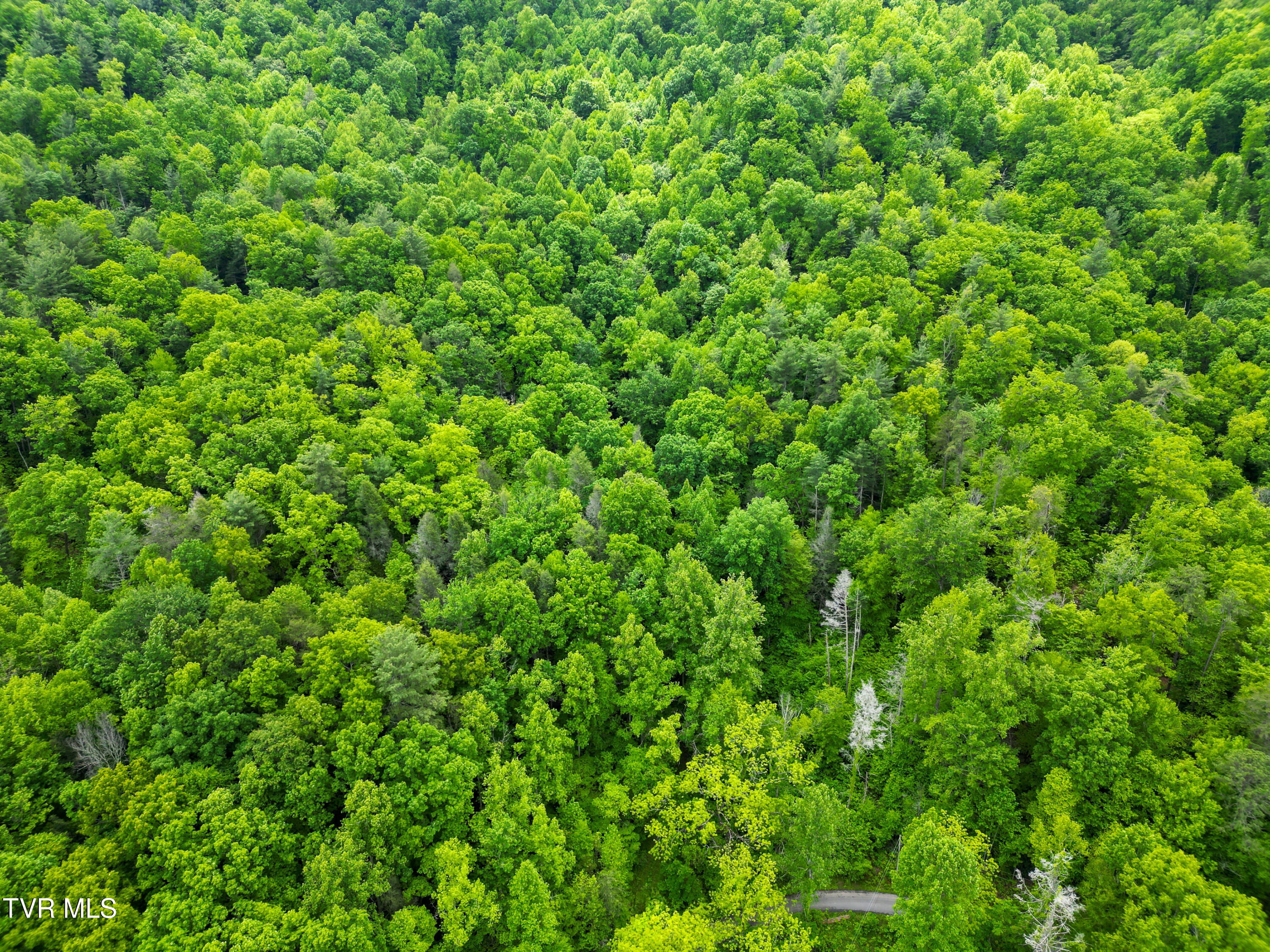 Tbd Paint Mtn Road, Greeneville, Tennessee image 13
