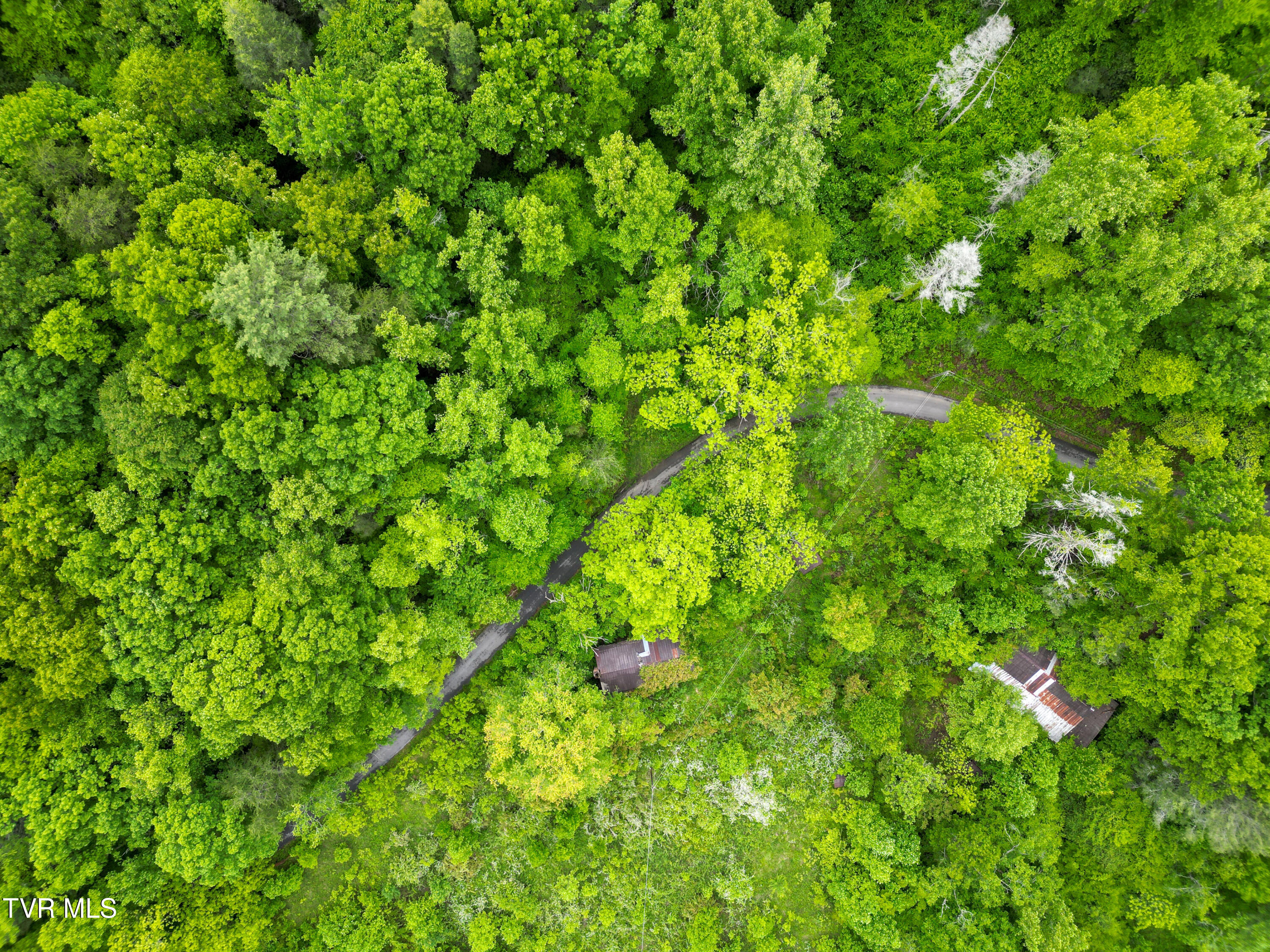 Tbd Paint Mtn Road, Greeneville, Tennessee image 5
