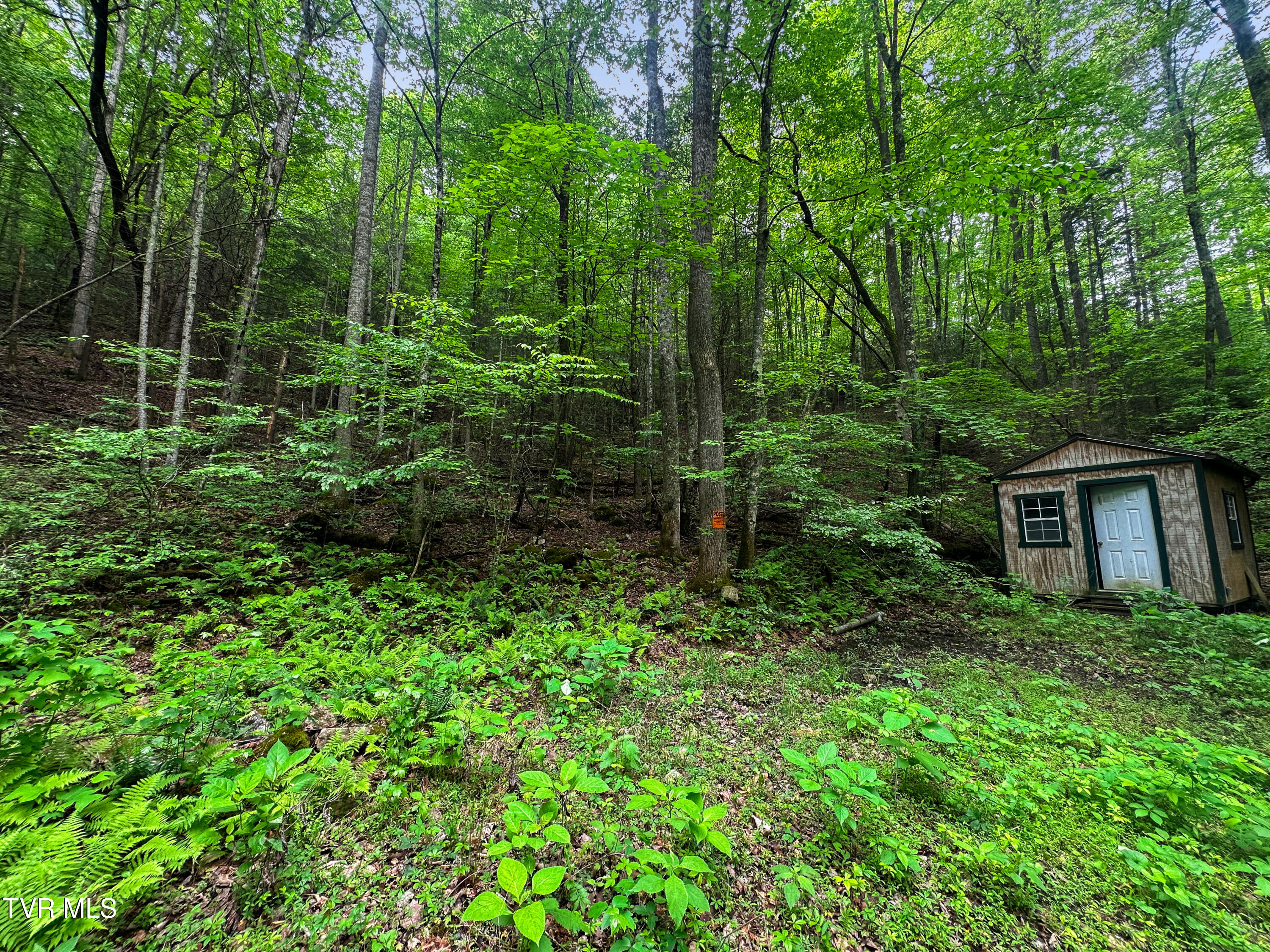 Tbd Paint Mtn Road, Greeneville, Tennessee image 12