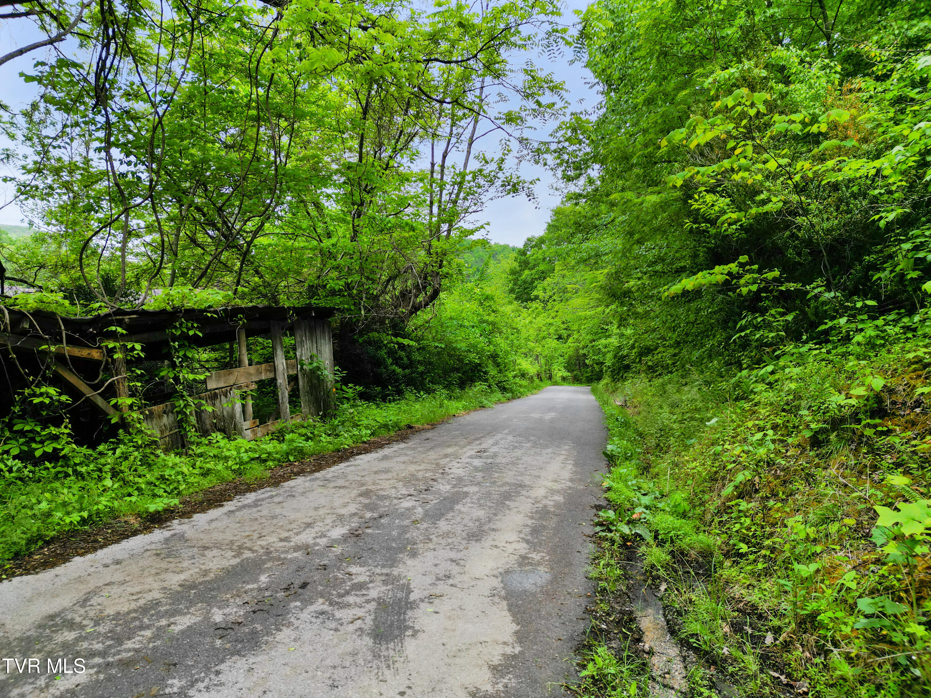 Tbd Paint Mtn Road, Greeneville, Tennessee image 3