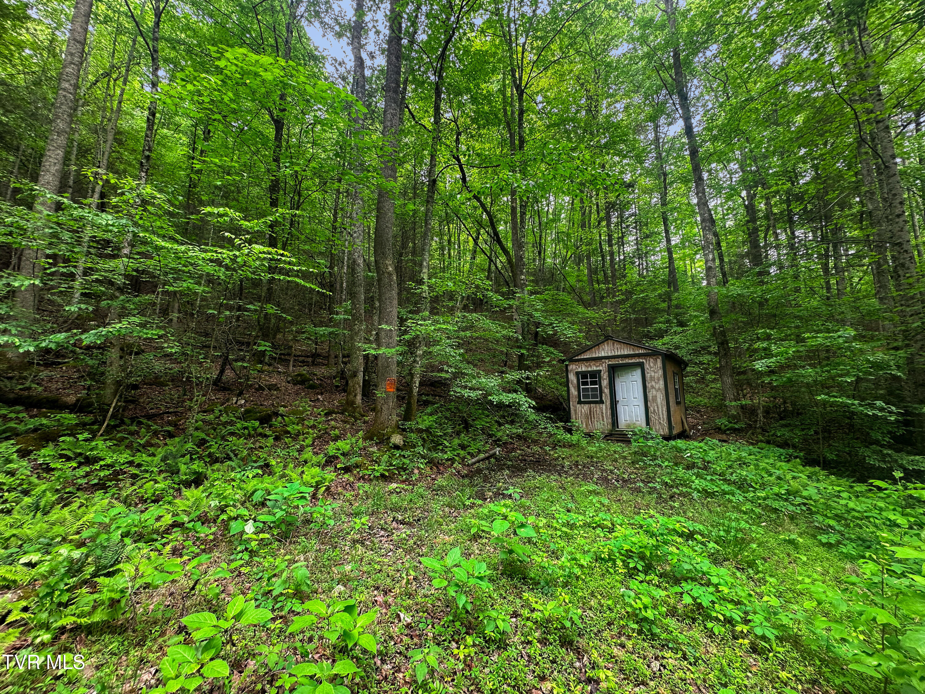 Tbd Paint Mtn Road, Greeneville, Tennessee image 11